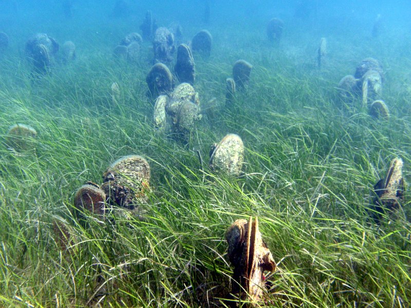 2012-09-08 10-44-46 Ludo.jpg